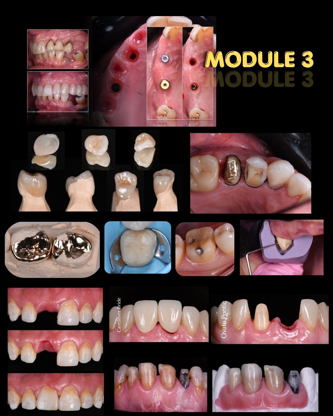 Module 3 clinical case examples from the 2027 residency brochure